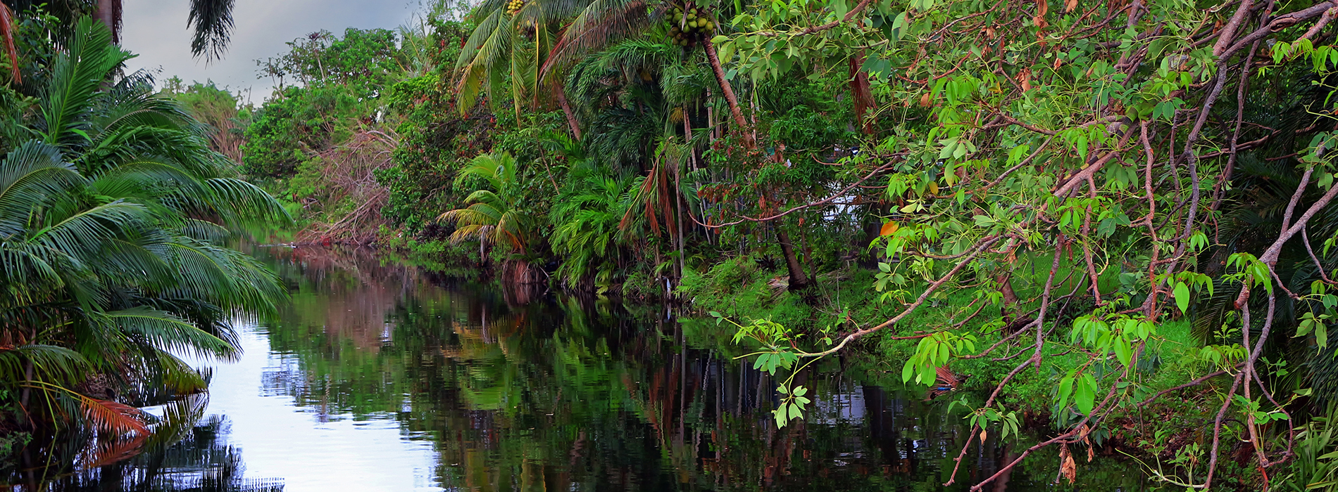 Everything Smiles | Dermal Fillers, Extractions and Emergency Treatment